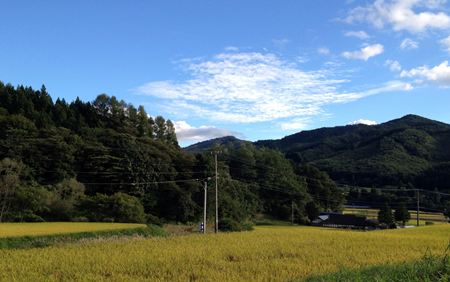 IMG_1417_R