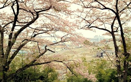 hiyoriyama_R