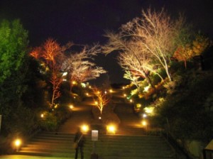 DSCN4257_2