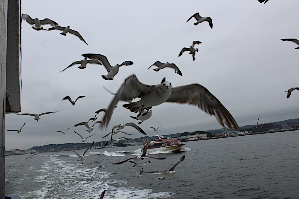 DSCN4257_2