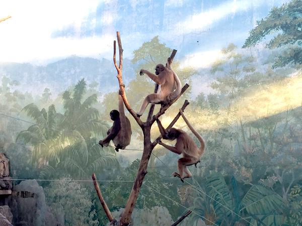自然動物園