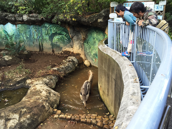 自然動物園